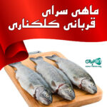 ماهی سرای قربانی کلکناری در ساری