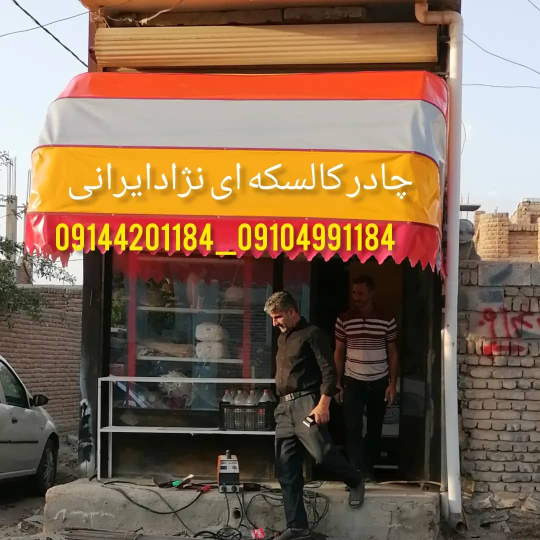 سایبان کالسکه ای نژاد ایرانی در بناب