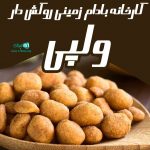 کارخانه بادام زمینی روکش‌ دار ولپی در تهران