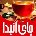 چای آنیدا در لاهیجان